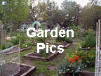 Pictures of the Garden